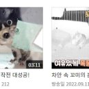 종운농장 이미지