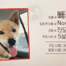 인숙농장 이미지