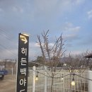 백야드 | 서울 근교 글램핑 고민 중이라면?하남 감성 캠핑 미사 히든백야드 직접 다녀온 후기