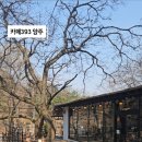 불곡산장 | 산장 느낌 양주카페 추천, 카페393 양주