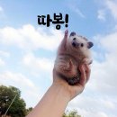 연세메디칼약국 | 먹골역 약국 추천 좋아요 6곳, 열린 약국, 토요일, 일요일, 공휴일, 심야