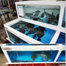 웅이네식당 이미지