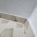 고운동_가락 908동 이미지