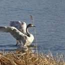 경포호수 3 이미지