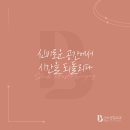 신비성형외과 이미지