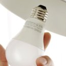 디에이치월드 이미지