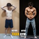 타이거 짐 이미지