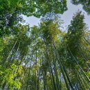 주식회사 유니버셜 이미지