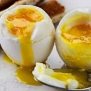 건강근력운동 이미지