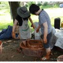 봉양중학교 이미지