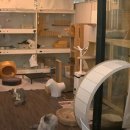 우리동네펫 이미지