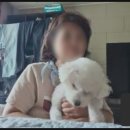 밋슈 이미지