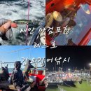 (주)씨플랜트컴퍼니 | 태안 마검포항 레드호 | 가을 갑오징어 선상낚시 출조 후기