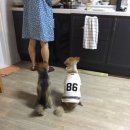 허그안리트릿 네이버블로그