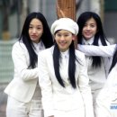 밀크 이미지