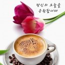 &#34;&#39;수연회&#39;(水硏會) 모임후 &#39;국립인천해양박물관&#39; 관람&#34;＜2025.02.20(목)＞ 이미지