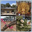 창원 불곡사 일주문 | [창원여행] 창원 불곡사의 봄