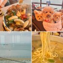 동반상승 | 오이도 신상 맛집 조개루, 오션뷰 조개찜 애견동반 식당 솔직후기