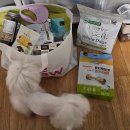 뿌나애견 이미지