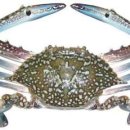 (주)홍이푸드 이미지