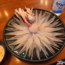 남해-182 | 제주 무늬오징어회 전문점 서귀포 토끼트멍