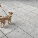 름이상점 이미지