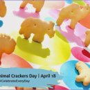 강서하이동물병원 이미지