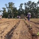 상읍농장 이미지