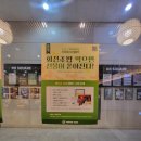 미카도스시동탄솔빛나루점 이미지