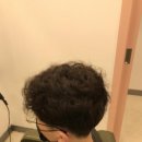 시스템엘르
