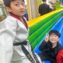 팀레드 | 청천동태권도 재미있는 합성태권도장 / 팀레드폭스 주짓수&amp;MMA 방문 후기