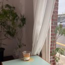 2015046 | 경주 구황동 카페 고미사 gomisa