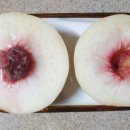 케이비농장 이미지