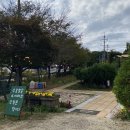 로뎀카페(Rodem, Cafe)