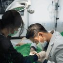 더자연건강 이미지