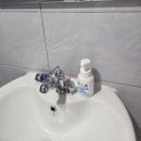 바다풍경펜션 | [강화도 석모도] 가성비 좋은 숲속바다풍경 펜션 히야신스,프리지아 후기