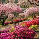 꽃피울조경