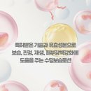태지팜 | [공지] ★강추템★ 100% 유기농 호호바오일 / 산뜻한 사용감 / 4개 인증획득으로 최고등급 / 특허기술과...
