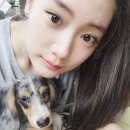 클라라 이미지