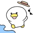 또똣제주백팩커스