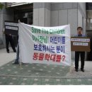 고양이를 부탁해 이미지