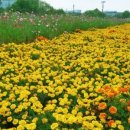 맑음터공원-A 이미지