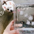 제연동물병원 이미지