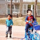 가운초등학교(병설) Daum카페