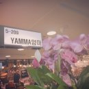 얌마(Yamma) 네이버블로그