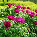 개화마을회관 이미지