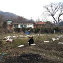 백마농장3 이미지