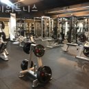 럭키헬스 이미지