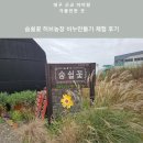 대구 근교 아이랑 체험하기 - 숨쉴꽃 허브농장 비누 만들기 후기
