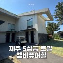 엠버퓨어힐 제주 힐 파인 더블 객실 수영장 조식 중식 내돈내산 후기